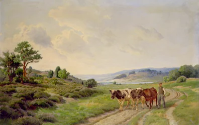 Extensive Danish Landscape with Cattle